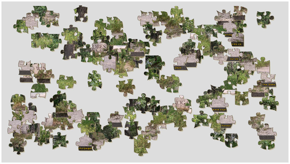 Puzzle Pieces in a Playing Area