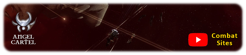 Photo of a Retribution in an Angel Cartel combat site