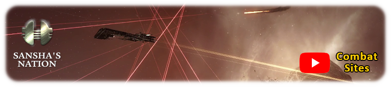 Photo of a Jaguar in a Sansha's Nation combat site