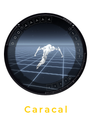 Caracal Fitting Window