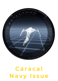 Caracal Navy Fitting Window